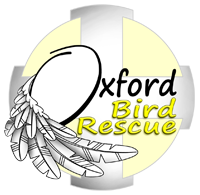 Oxford Bird Rescue Logo